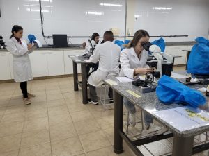 Farmácia promove mais uma edição do OSCE para avaliar alunos